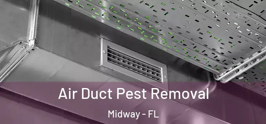 Air Duct Pest Removal Midway - FL