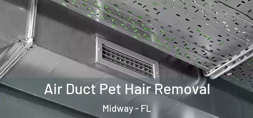 Air Duct Pet Hair Removal Midway - FL