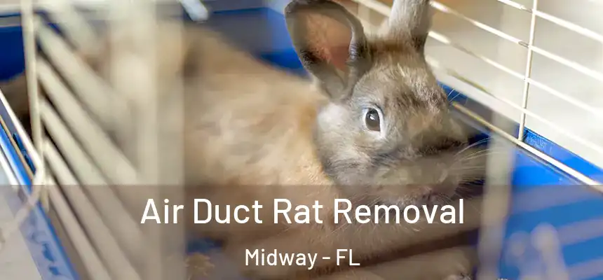  Air Duct Rat Removal Midway - FL