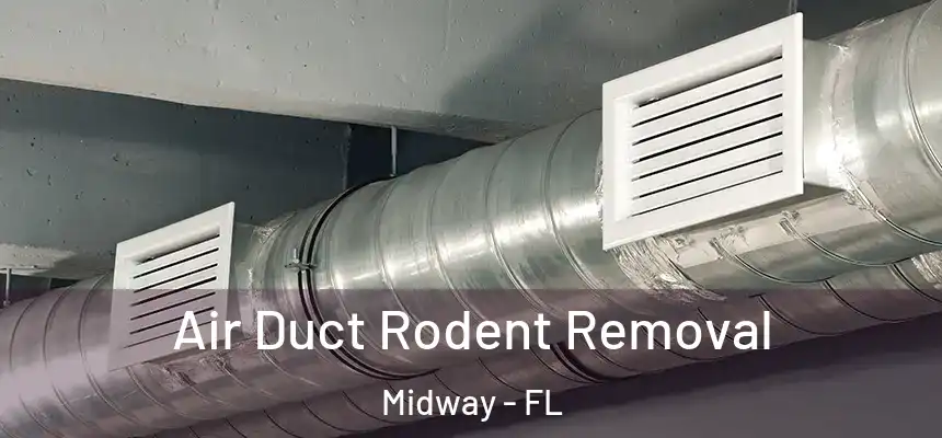 Air Duct Rodent Removal Midway - FL