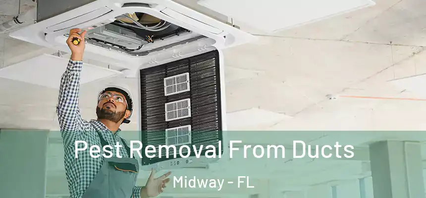 Pest Removal From Ducts Midway - FL