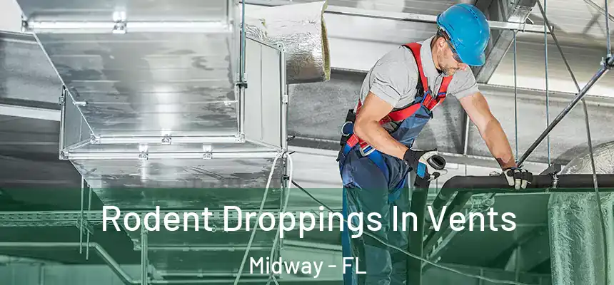 Rodent Droppings In Vents Midway - FL
