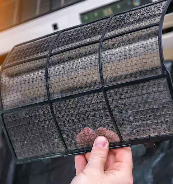 About Pet Dander Duct Cleaning in Midway, FL